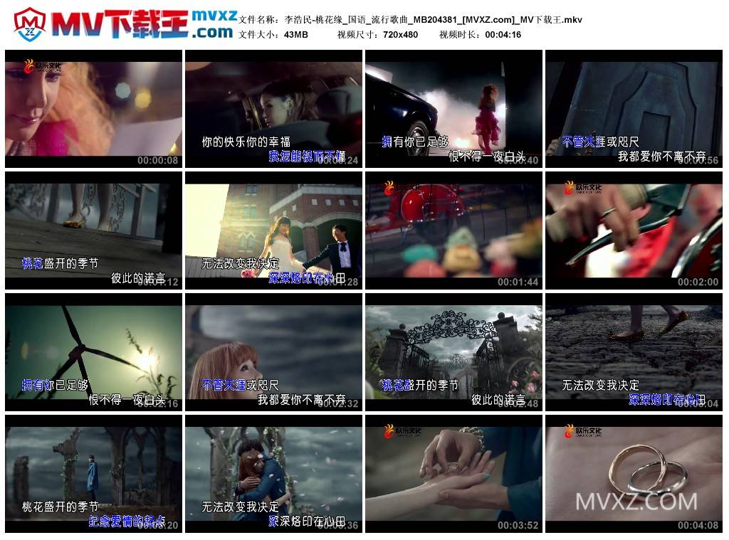李浩民-桃花缘_国语_流行歌曲_MB204381